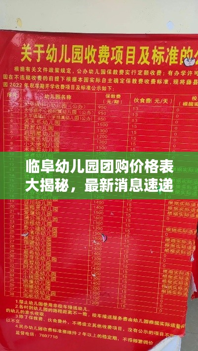 臨阜幼兒園團購價格表大揭秘，最新消息速遞
