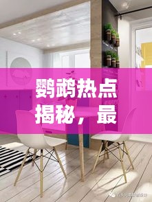鸚鵡熱點揭秘，最新動態(tài)與資訊一網打盡！