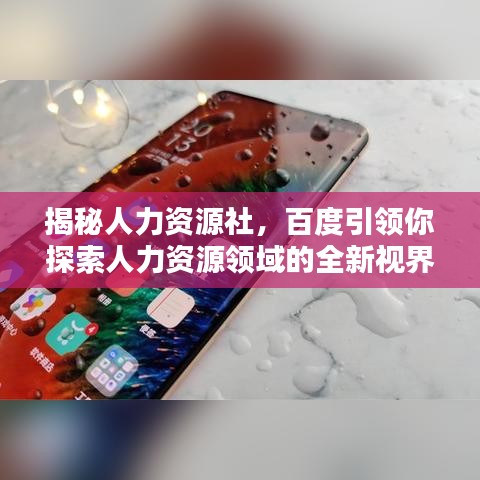 揭秘人力資源社，百度引領(lǐng)你探索人力資源領(lǐng)域的全新視界！