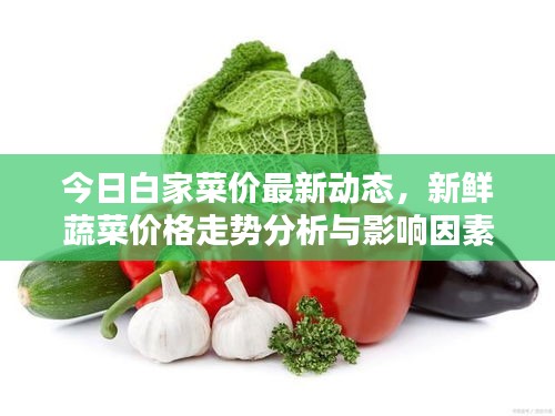 今日白家菜價(jià)最新動(dòng)態(tài)，新鮮蔬菜價(jià)格走勢(shì)分析與影響因素探討