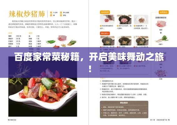 百度家常菜秘籍，開啟美味舞動之旅！