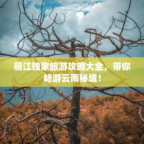 麗江獨(dú)家旅游攻略大全，帶你暢游云南秘境！