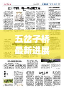 五岔子橋最新進(jìn)展與未來規(guī)劃揭秘，新聞頭條重磅更新