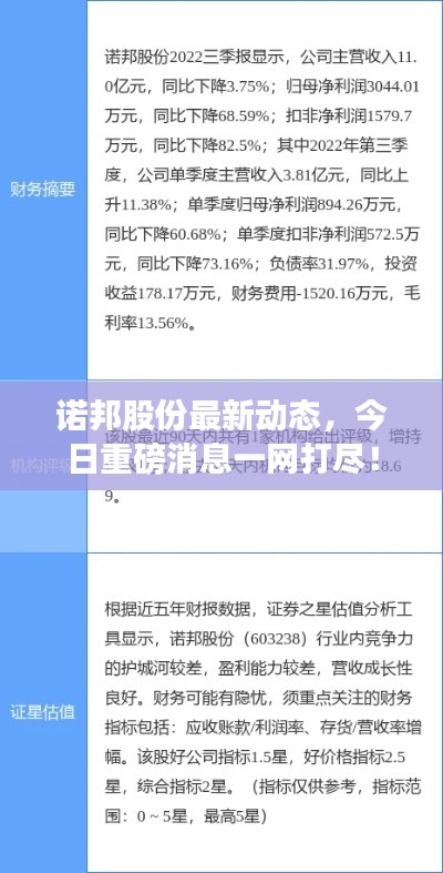 諾邦股份最新動(dòng)態(tài)，今日重磅消息一網(wǎng)打盡！
