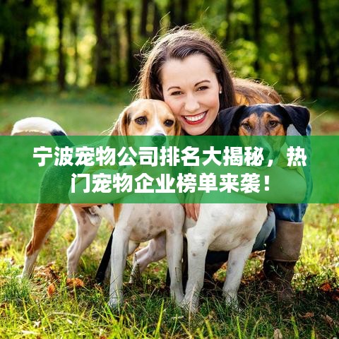 寧波寵物公司排名大揭秘，熱門寵物企業(yè)榜單來襲！