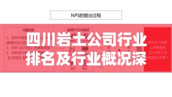 四川巖土公司行業(yè)排名及行業(yè)概況深度解析