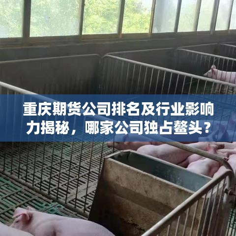 重慶期貨公司排名及行業(yè)影響力揭秘，哪家公司獨(dú)占鰲頭？