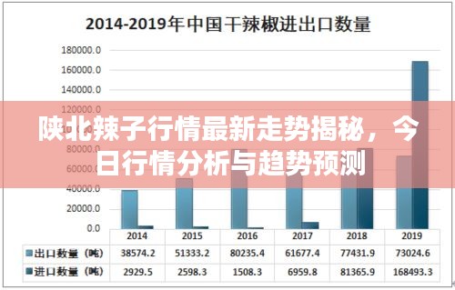 陜北辣子行情最新走勢揭秘，今日行情分析與趨勢預(yù)測