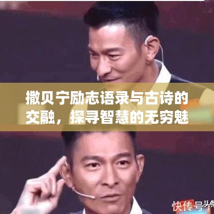 撒貝寧勵(lì)志語錄與古詩的交融，探尋智慧的無窮魅力