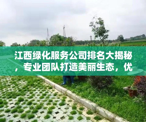 江西綠化服務(wù)公司排名大揭秘，專業(yè)團(tuán)隊打造美麗生態(tài)，優(yōu)質(zhì)企業(yè)榜單不容錯過！
