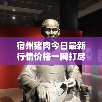 宿州豬肉今日最新行情價格一網(wǎng)打盡