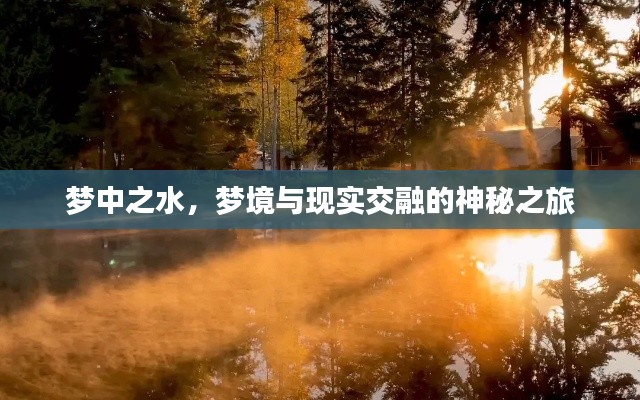 夢中之水，夢境與現(xiàn)實(shí)交融的神秘之旅