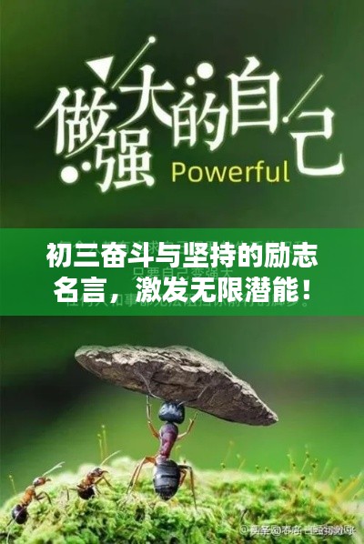 初三奮斗與堅(jiān)持的勵(lì)志名言，激發(fā)無限潛能！