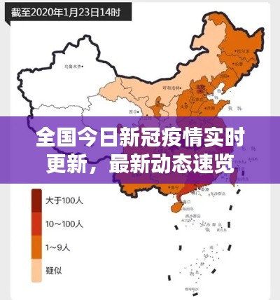 全國今日新冠疫情實時更新，最新動態(tài)速覽
