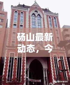 碭山最新動態(tài)，今日信息一網(wǎng)打盡！