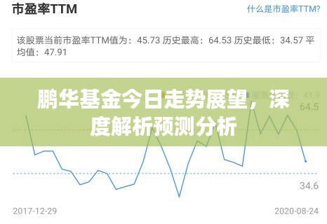 鵬華基金今日走勢展望，深度解析預(yù)測分析