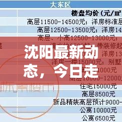 沈陽最新動(dòng)態(tài)，今日走勢揭秘