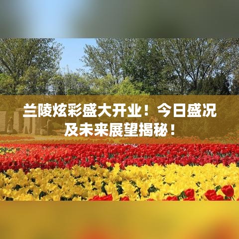 蘭陵炫彩盛大開(kāi)業(yè)！今日盛況及未來(lái)展望揭秘！