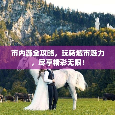 市內(nèi)游全攻略，玩轉(zhuǎn)城市魅力，盡享精彩無(wú)限！