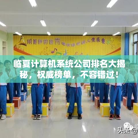 臨夏計(jì)算機(jī)系統(tǒng)公司排名大揭秘，權(quán)威榜單，不容錯(cuò)過(guò)！
