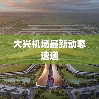 大興機(jī)場最新動態(tài)速遞