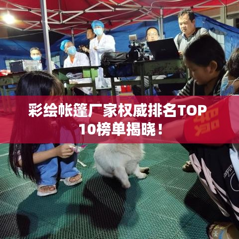 彩繪帳篷廠家權(quán)威排名TOP 10榜單揭曉！