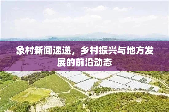 象村新聞速遞，鄉(xiāng)村振興與地方發(fā)展的前沿動態(tài)