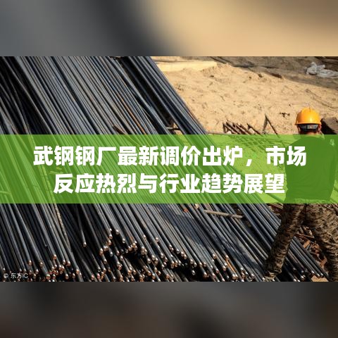 武鋼鋼廠最新調(diào)價出爐，市場反應熱烈與行業(yè)趨勢展望