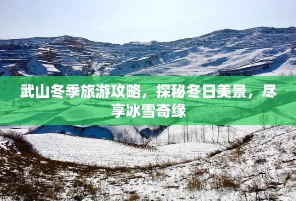 武山冬季旅游攻略，探秘冬日美景，盡享冰雪奇緣
