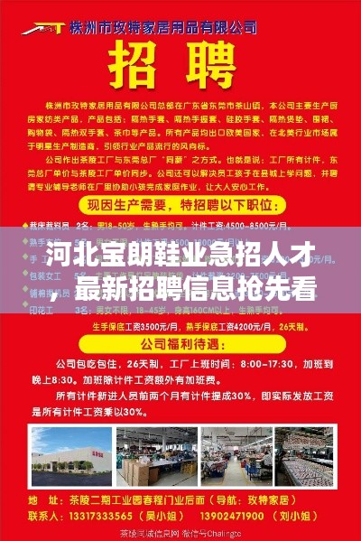 河北寶朗鞋業(yè)急招人才，最新招聘信息搶先看！