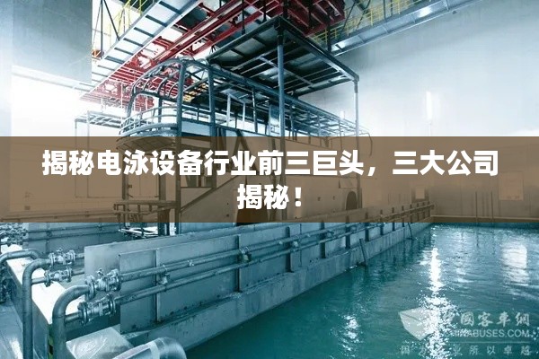 揭秘電泳設(shè)備行業(yè)前三巨頭，三大公司揭秘！
