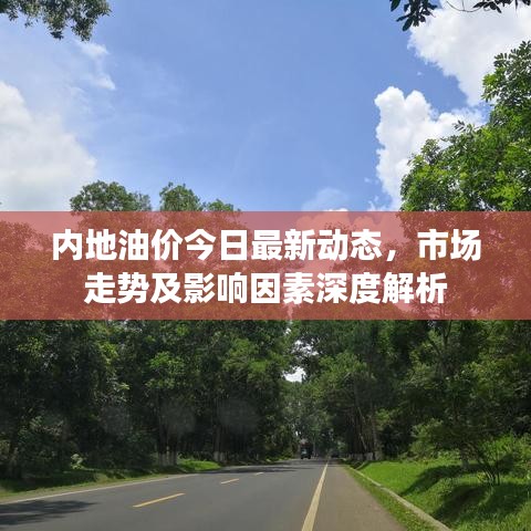 內(nèi)地油價(jià)今日最新動(dòng)態(tài)，市場(chǎng)走勢(shì)及影響因素深度解析