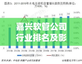 嘉興軟管公司行業(yè)排名及影響力解析，專業(yè)解讀市場地位與影響力！