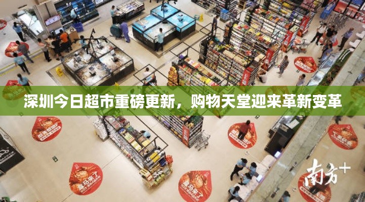 深圳今日超市重磅更新，購物天堂迎來革新變革