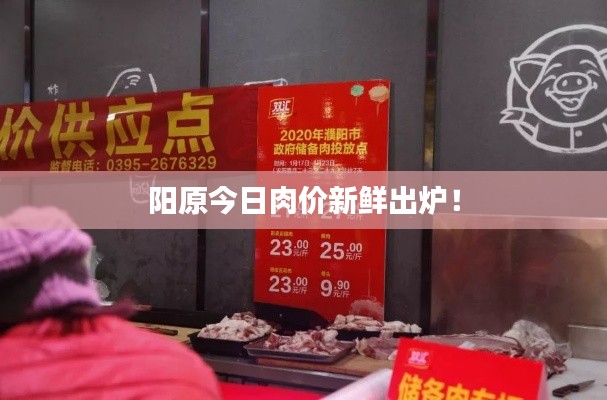 陽原今日肉價新鮮出爐！