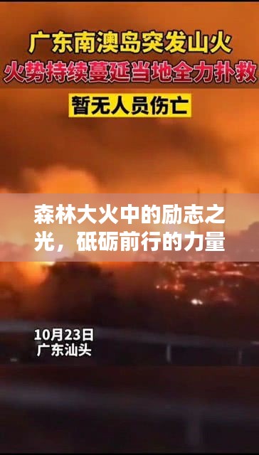 森林大火中的勵志之光，砥礪前行的力量源泉