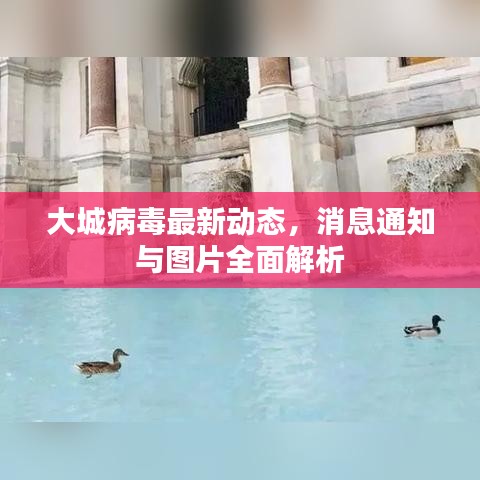 大城病毒最新動(dòng)態(tài)，消息通知與圖片全面解析