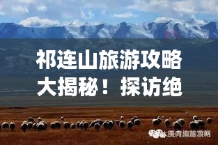 祁連山旅游攻略大揭秘！探訪絕美風光，暢游自然仙境！