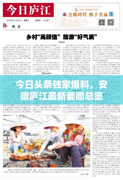 今日頭條獨(dú)家爆料，安徽廬江最新要聞總覽