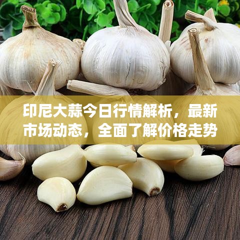 印尼大蒜今日行情解析，最新市場動態(tài)，全面了解價格走勢！