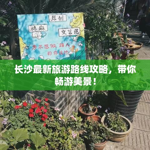 長沙最新旅游路線攻略，帶你暢游美景！