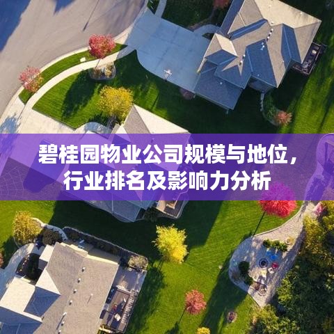 碧桂園物業(yè)公司規(guī)模與地位，行業(yè)排名及影響力分析