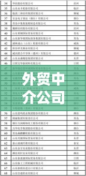 外貿(mào)中介公司權(quán)威排名榜，揭秘業(yè)內(nèi)頂尖企業(yè)實(shí)力