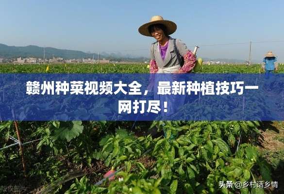 贛州種菜視頻大全，最新種植技巧一網(wǎng)打盡！