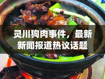 靈川狗肉事件，最新新聞報道熱議話題