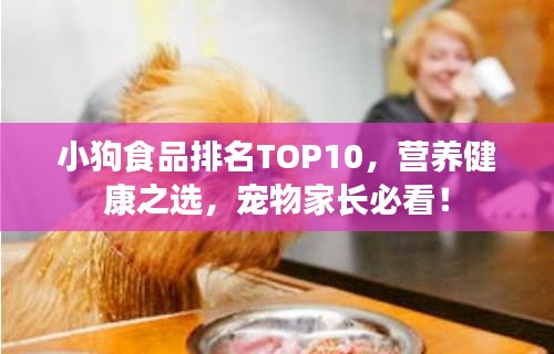 小狗食品排名TOP10，營養(yǎng)健康之選，寵物家長必看！