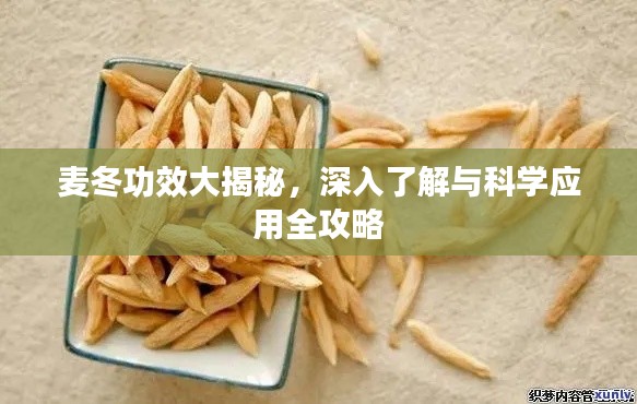 麥冬功效大揭秘，深入了解與科學(xué)應(yīng)用全攻略