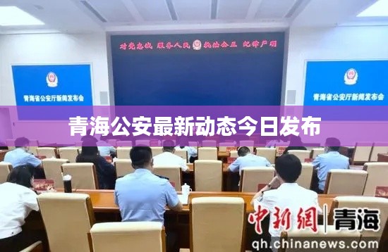 青海公安最新動態(tài)今日發(fā)布