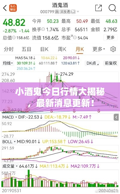 小酒鬼今日行情大揭秘，最新消息更新！