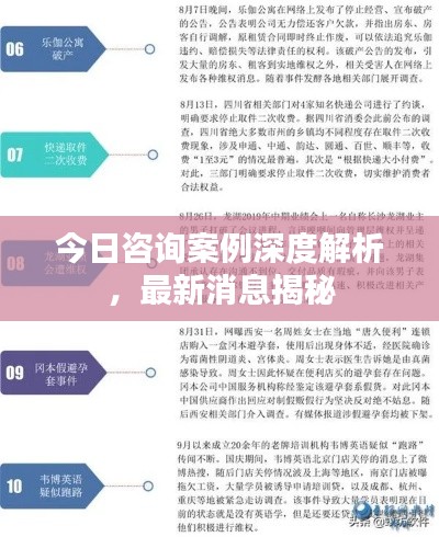 今日咨詢案例深度解析，最新消息揭秘